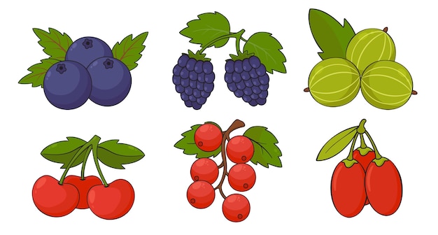 ブルーベリーブドウチェリーと他の描画と果物とベリーのセットは、白い背景のフラットベクトルイラストに分離
