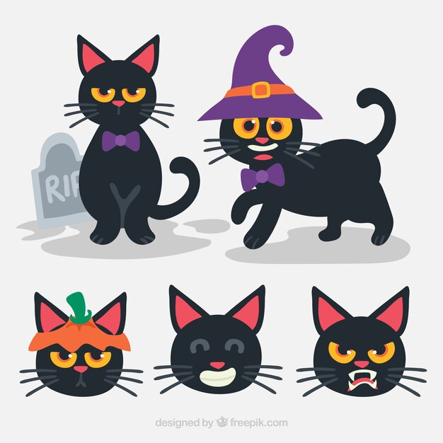 Set of funny black cats