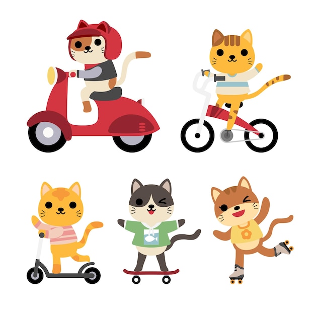 Set of funny cats in activities: riding, bike, cycle, roller skating, skateboarding