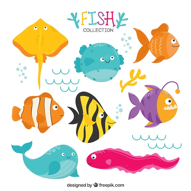 Free vector set of funny fish