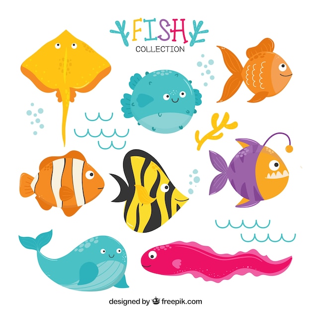 Set of funny fish