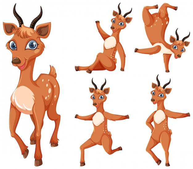 Free vector set of gazelle cartoon character