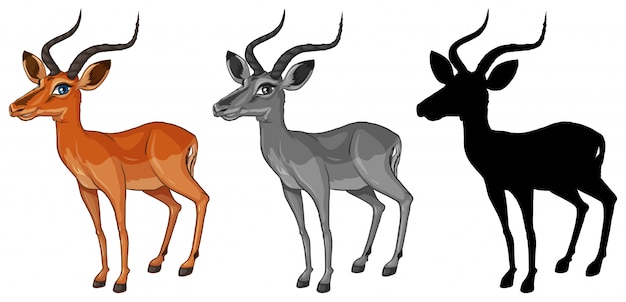 Free vector set of gazelle character