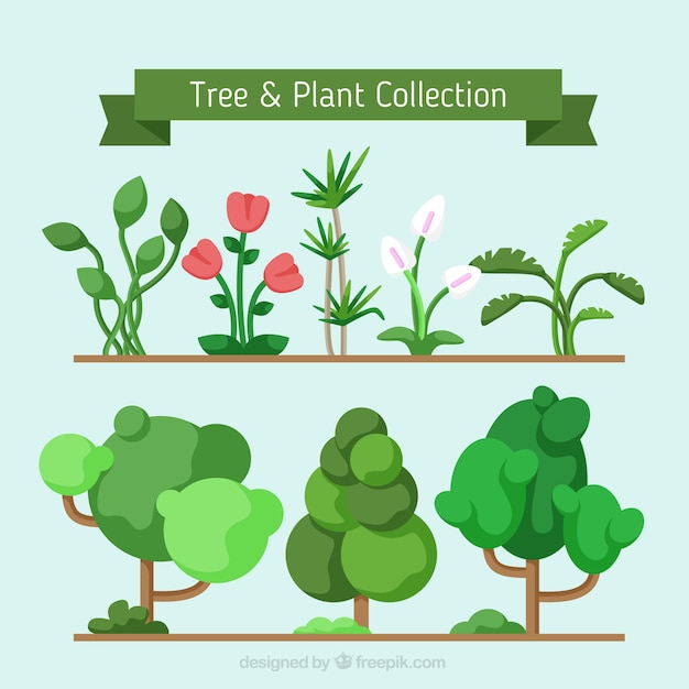 Free vector set of geometric trees and plants