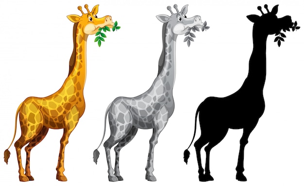 Free vector set of giraffe character