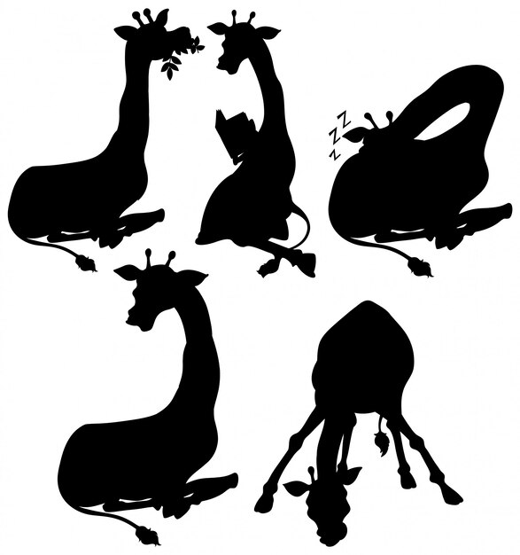 Free Vector set of giraffe silhouette