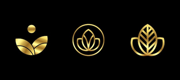 Set of Gold leaf logo design inspiration vector