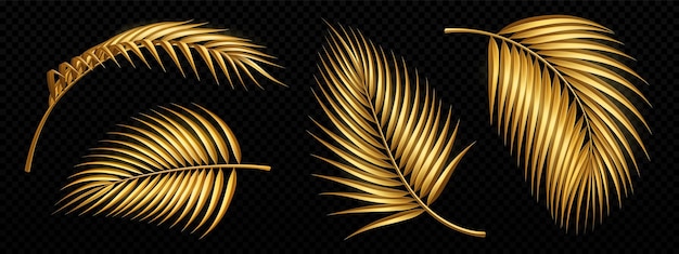 Free vector set of golden palm tree leaves isolated on black