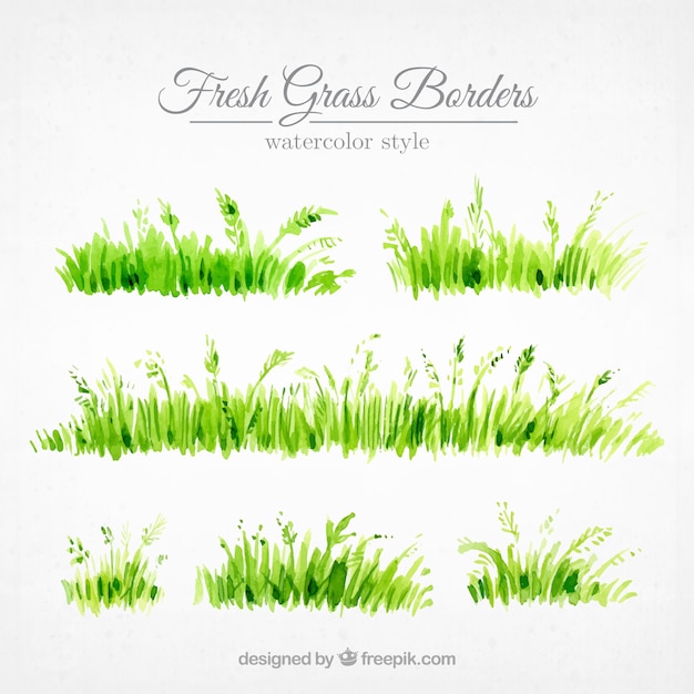 Set of grass borders painted with watercolor