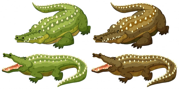 Free vector set of green and brown crocodiles