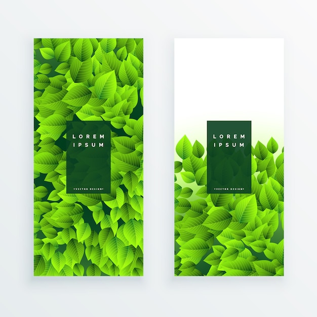 Free vector set of green leaves banner