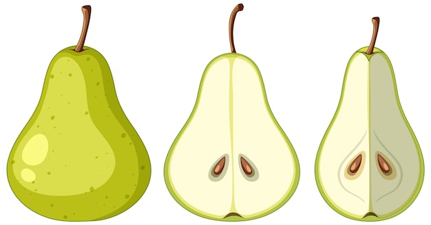 Free vector set of green pear isolated