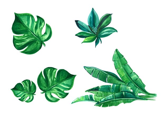Набор иллюстраций дизайна листьев зеленого дерева