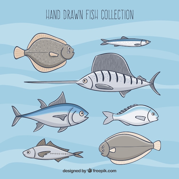 Free vector set of grey fish