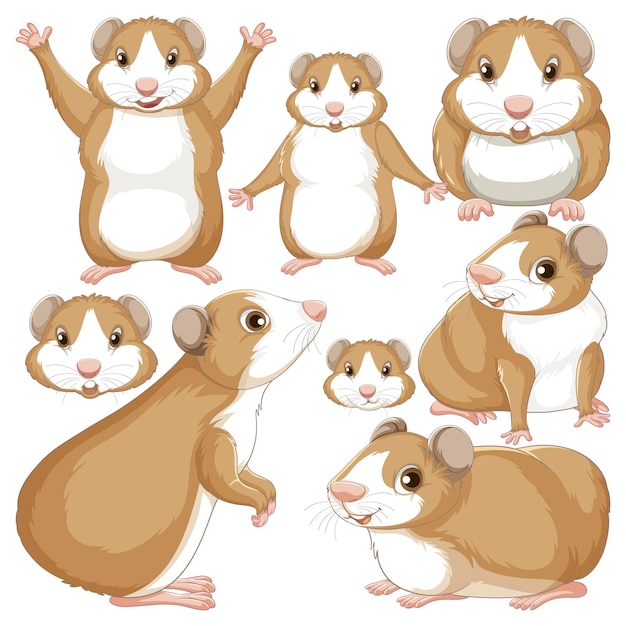 Free vector set of guinea pig cartoon character with head and facial express