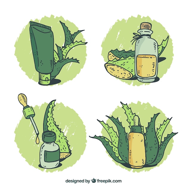 Free vector set of hand-drawn aloe vera products