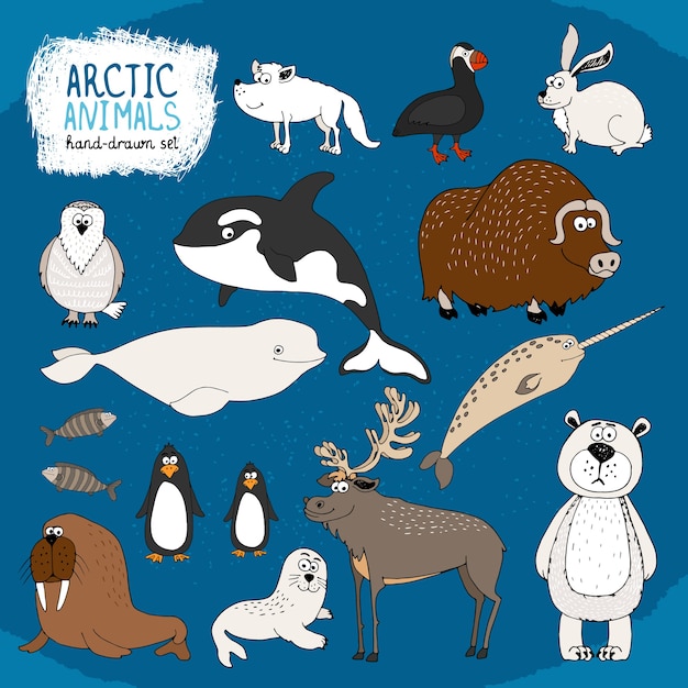북극곰과 차가운 파란색 배경에 손으로 그린 북극 동물 세트