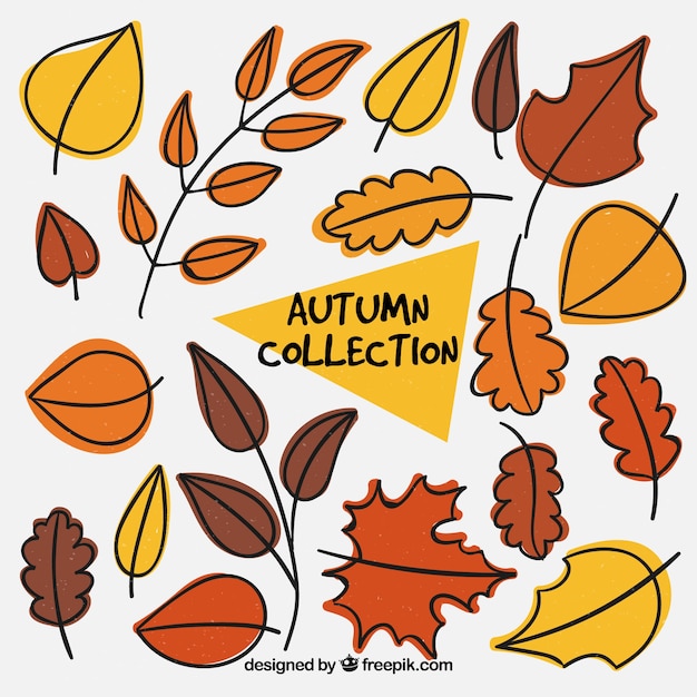 Set of hand drawn autumn decorative leaves