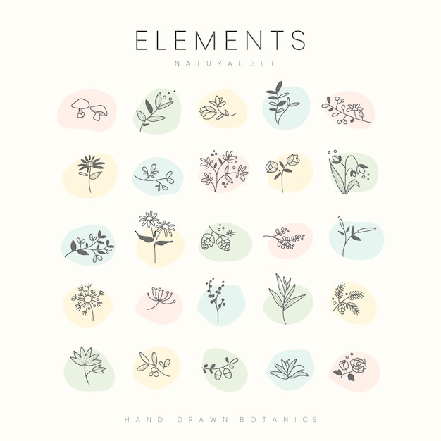 Set of hand drawn botanical elements vector