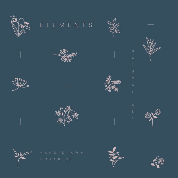 Set of hand drawn botanical elements vector