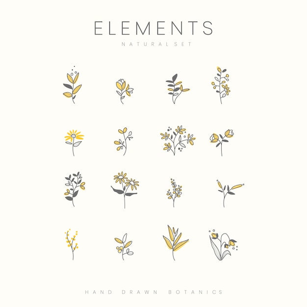 Set of hand drawn botanical elements vector