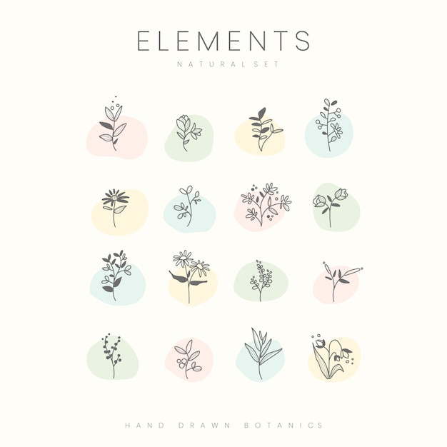 Set of hand drawn botanical elements vector