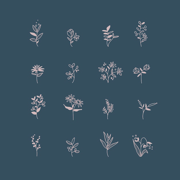 Set of hand drawn botanical elements vector