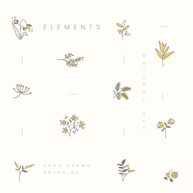 Free vector set of hand drawn botanical elements vector