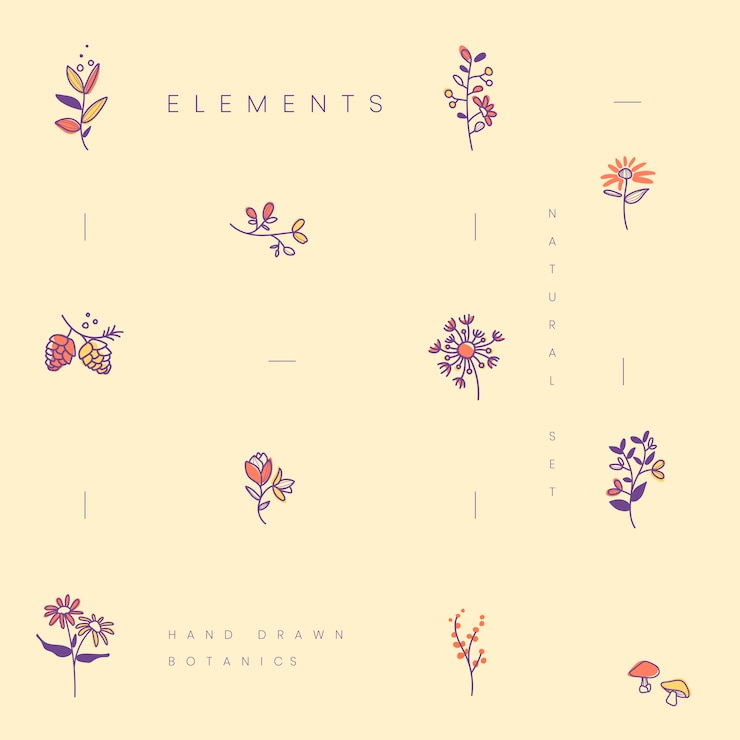 Free Vector set of hand drawn botanical elements vector