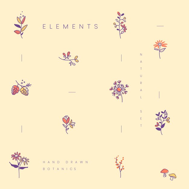 Set of hand drawn botanical elements vector