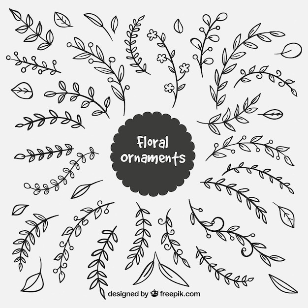 Free vector set of hand drawn branches and leaves