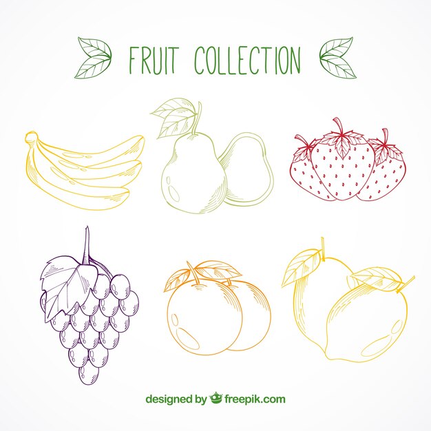 Set of hand-drawn colored fruits