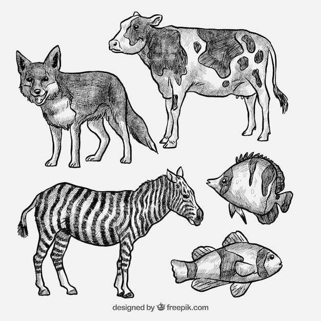 Набор рисованной коровы и диких животных