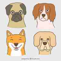 Free vector set of hand drawn dogs
