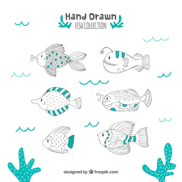 Set of hand drawn fish