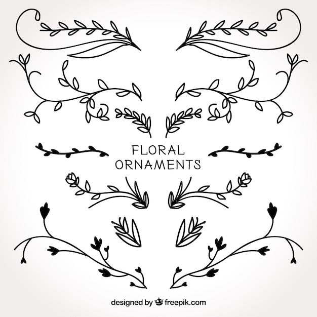 Set of hand drawn floral ornaments
