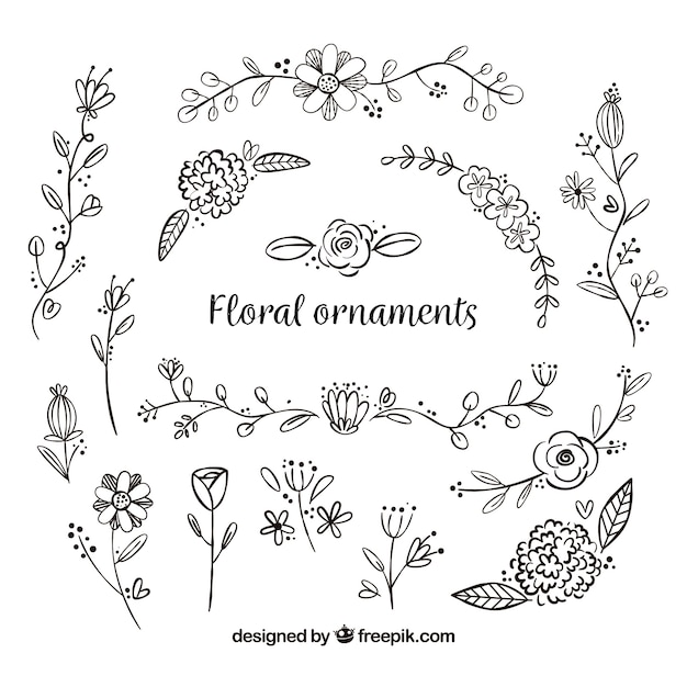 Set of hand drawn flower ornaments