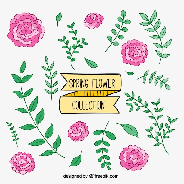 Free vector set of hand drawn flowers and leaves