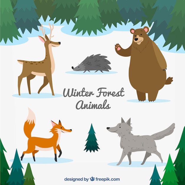 Set di animali della foresta disegnati a mano