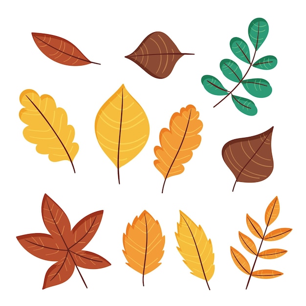 Free vector set of hand drawn forest leaves