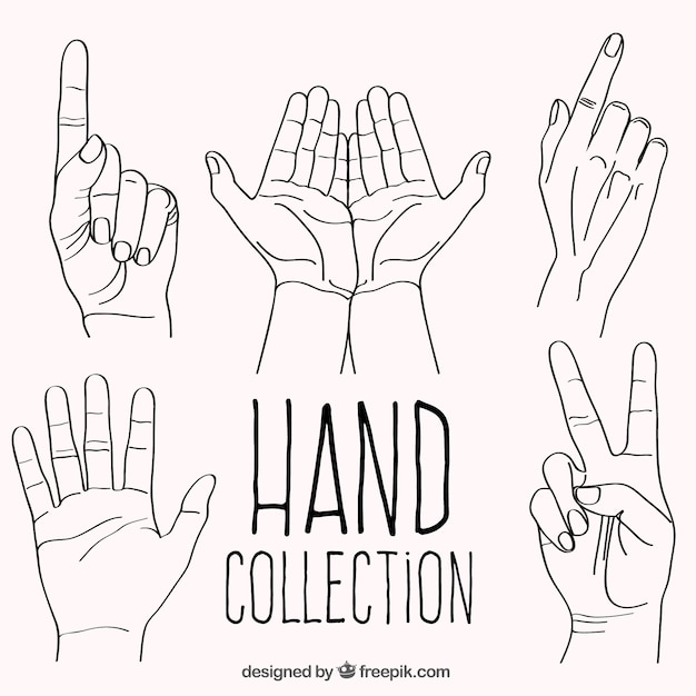 Vettore gratuito serie di gesti disegnati a mano con le mani