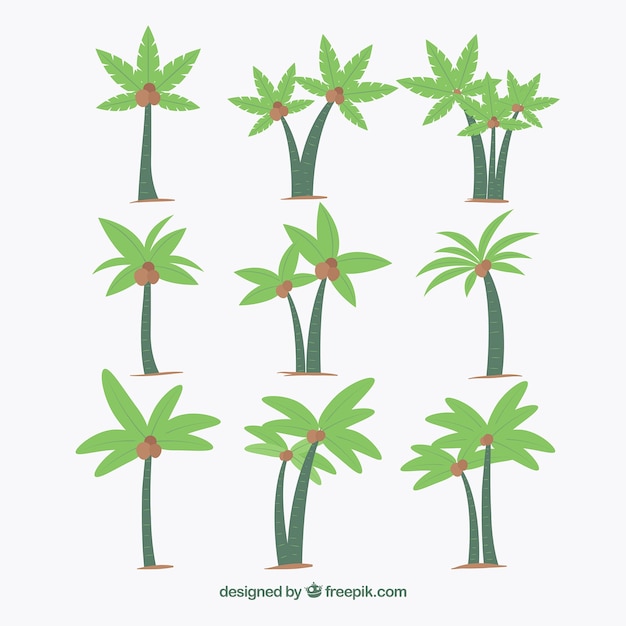 Set of hand-drawn palm trees