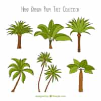 Free vector set of hand-drawn palm trees