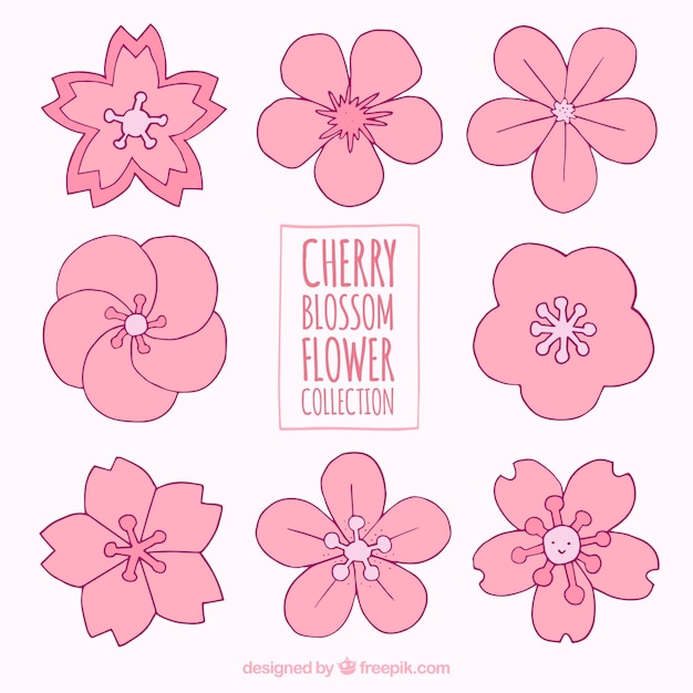 Free vector set of hand-drawn spring flowers