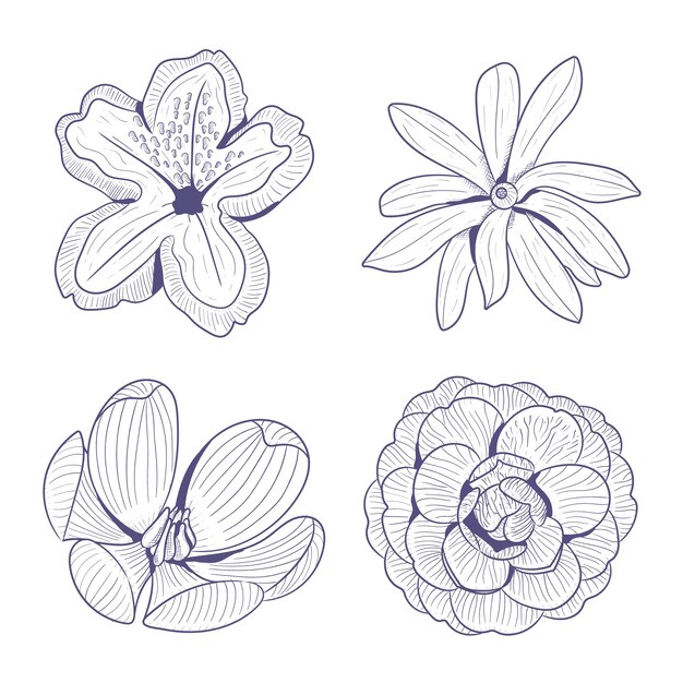 Set of hand drawn spring flowers