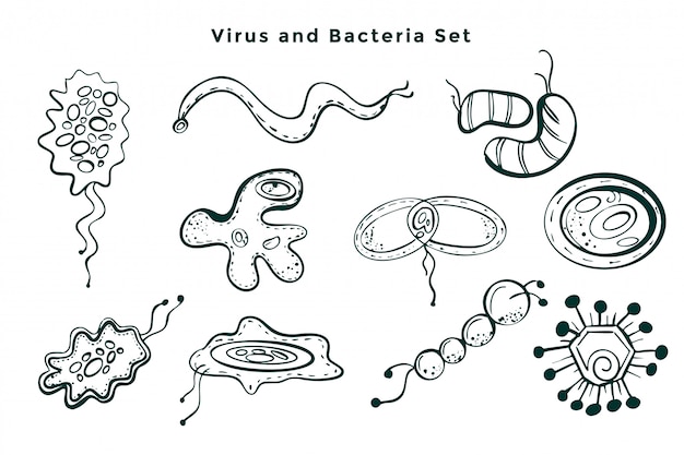 손으로 그린 바이러스 및 박테리아 세균의 집합