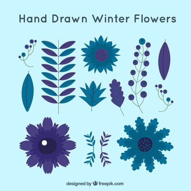 Set of hand drawn winter leaves and flowers