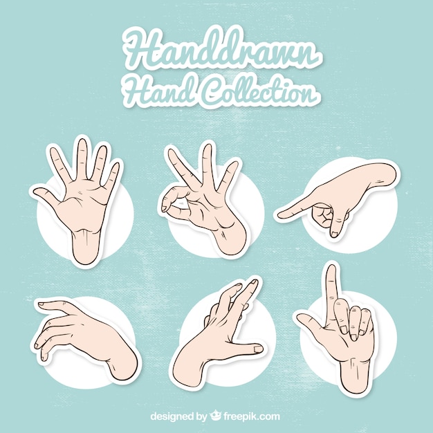 Free Vector set of hand sketches and sign language