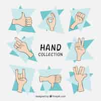 Free vector set of hand sketches with gestures