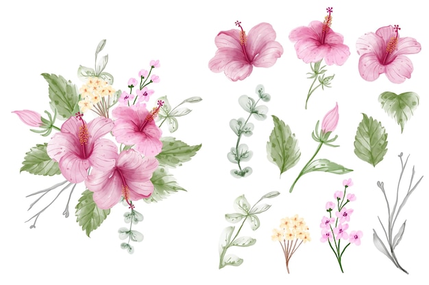 Set of hibiscus watercolor isolated